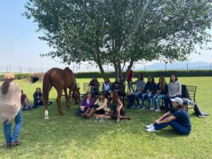 Constelaciones Sistémicas Asistidas con Caballos